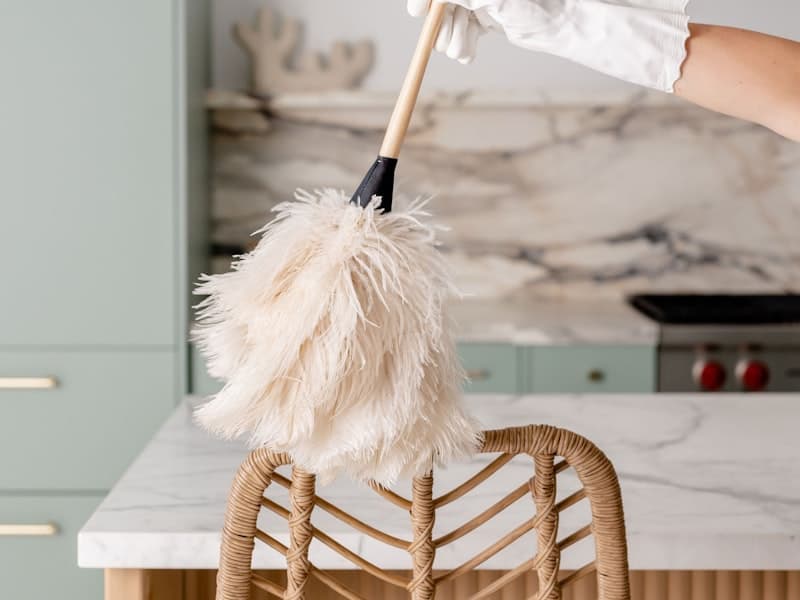 Professional cleaning in a premium kitchen
